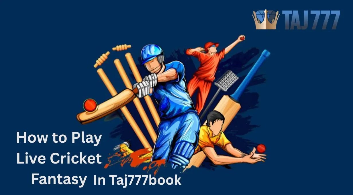 Read more about the article How to Play Live Cricket Fantasy in Taj777book