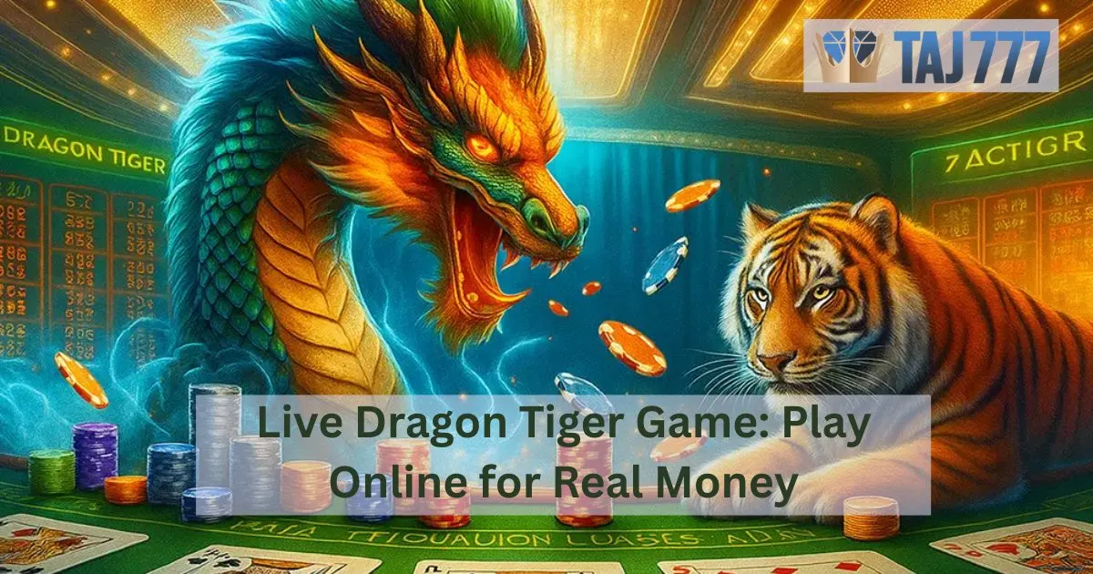 You are currently viewing Live Dragon Tiger Game: Play Online for Real Money